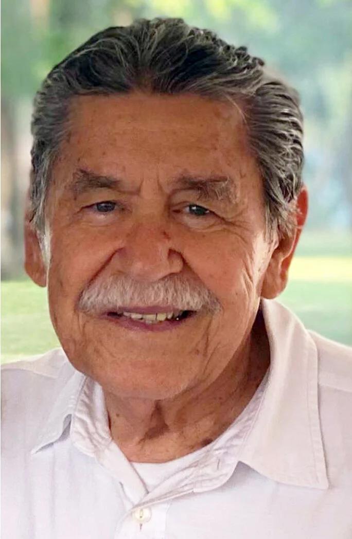 Ing. Jos&eacute; Antonio Cerna Casillas